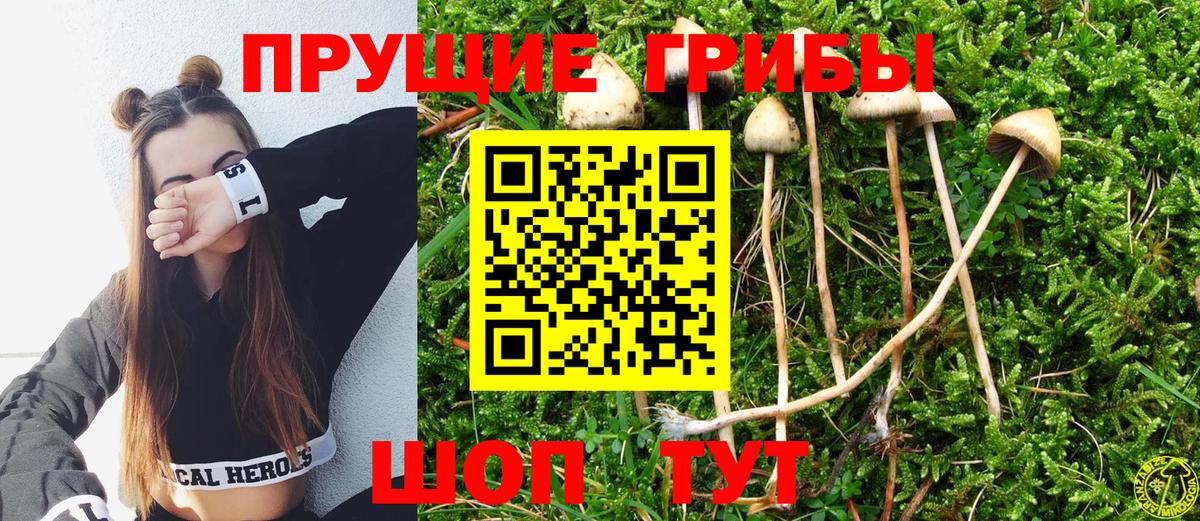 Галлюциногенные грибы Magic Shrooms Корсаков