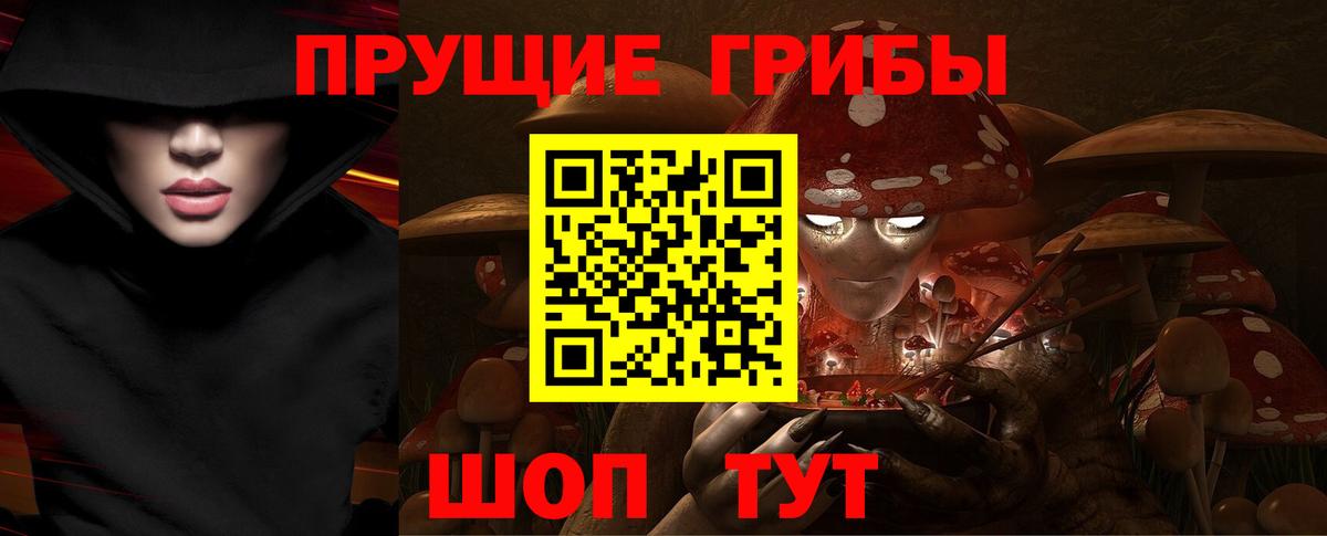 Псилоцибиновые грибы Cubensis  Галлюциногенные грибы мицелий  закладки  Корсаков  Вход с VPN 